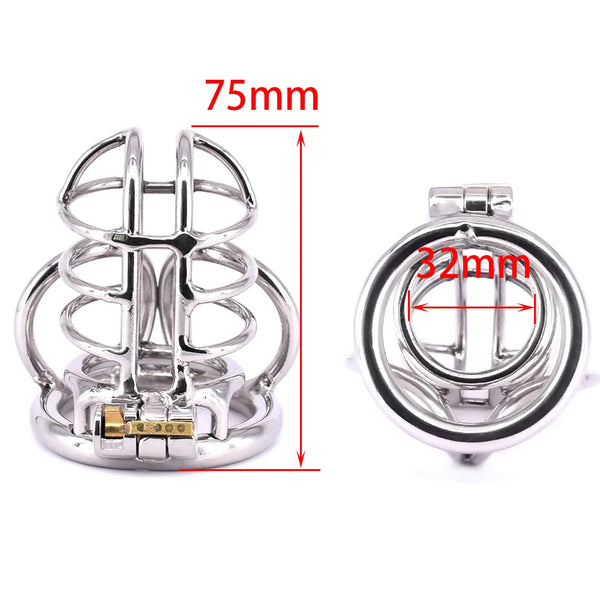 Cock Cage Stainless Steel Chastity Devices Penisring Scrotum Restraints Gear with Stealth Lock Metal Ball Cage Sex Toy