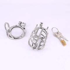 Cock Cage Stainless Steel Chastity Devices Penisring Scrotum Restraints Gear with Stealth Lock Metal Ball Cage Sex Toy