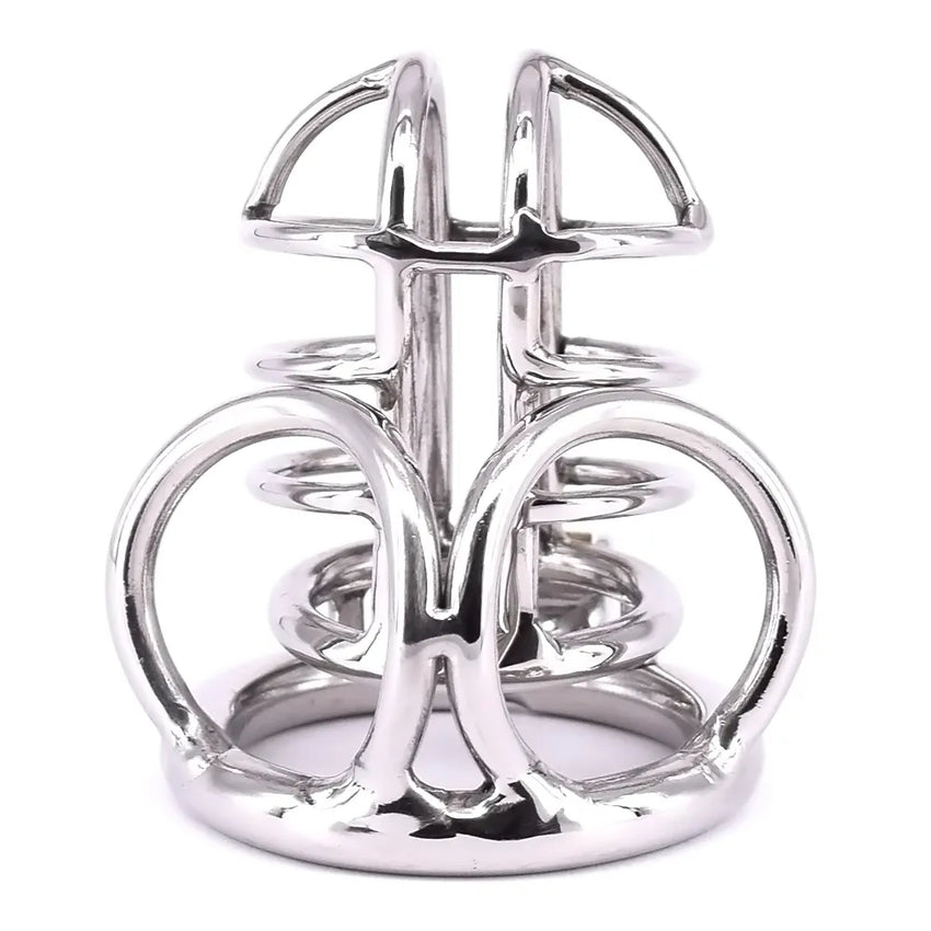 Cock Cage Stainless Steel Chastity Devices Penisring Scrotum Restraints Gear with Stealth Lock Metal Ball Cage Sex Toy