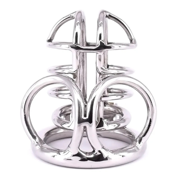 Cock Cage Stainless Steel Chastity Devices Penisring Scrotum Restraints Gear with Stealth Lock Metal Ball Cage Sex Toy