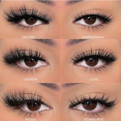 Mink Eyelashes | Eyelash Extensions | Glamour Cluster Lashes | Luxurious Segment Lashes | Beauty | Cosmetics | Wholesale