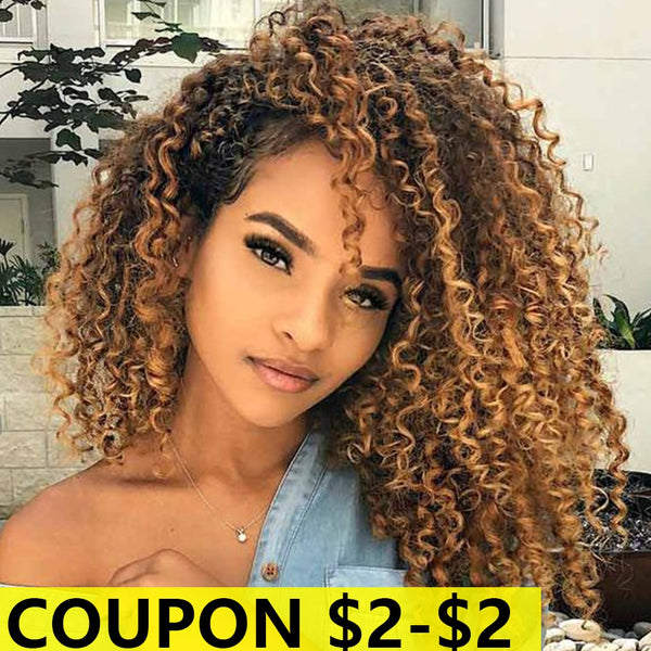 Bella Wig Curly Synthetic Lace Front Wig Curly Hair 6 Colors - Bellelooks